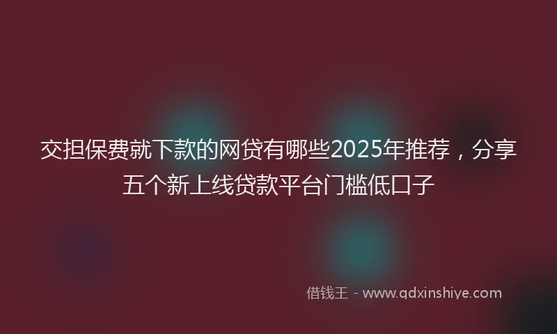 交担保费就下款的网贷有哪些2025年推荐，分享五个新上线贷款平台门槛低口子