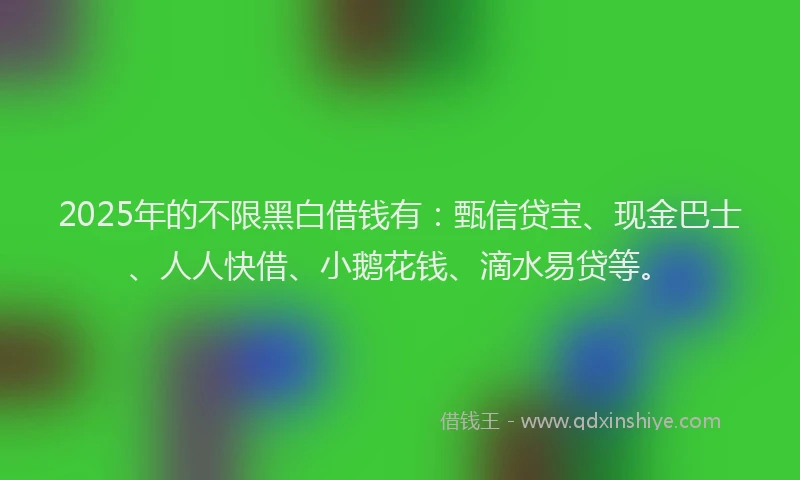 2025年的不限黑白借钱有：甄信贷宝、现金巴士、人人快借、小鹅花钱、滴水易贷等。