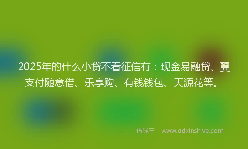 2025年的什么小贷不看征信有：现金易融贷、翼支付随意借、乐享购、有钱钱包、天源花等。