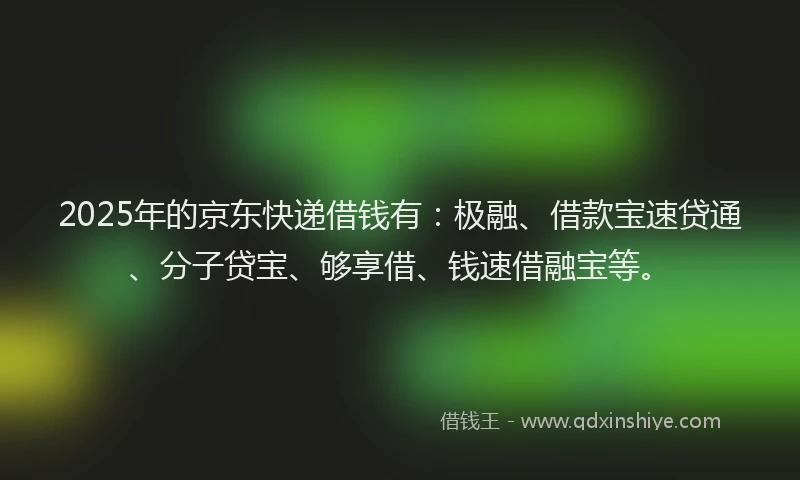 2025年的京东快递借钱有：极融、借款宝速贷通、分子贷宝、够享借、钱速借融宝等。