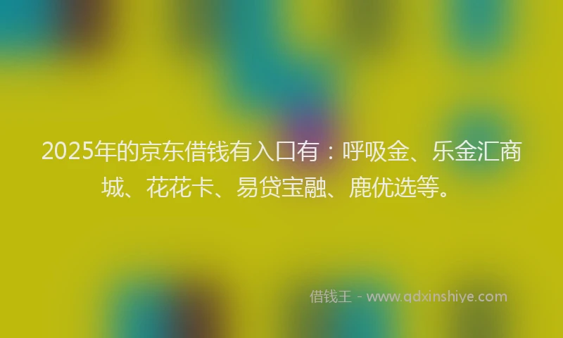 2025年的京东借钱有入口有：呼吸金、乐金汇商城、花花卡、易贷宝融、鹿优选等。