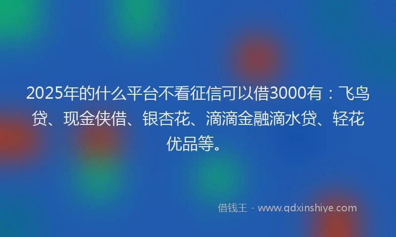 2025年的什么平台不看征信可以借3000有：飞鸟贷、现金侠借、银杏花、滴滴金融滴水贷、轻花优品等。