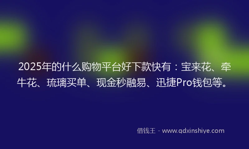 2025年的什么购物平台好下款快有：宝来花、牵牛花、琉璃买单、现金秒融易、迅捷Pro钱包等。