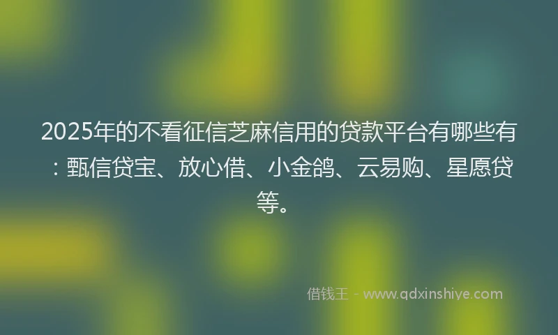 2025年的不看征信芝麻信用的贷款平台有哪些有：甄信贷宝、放心借、小金鸽、云易购、星愿贷等。