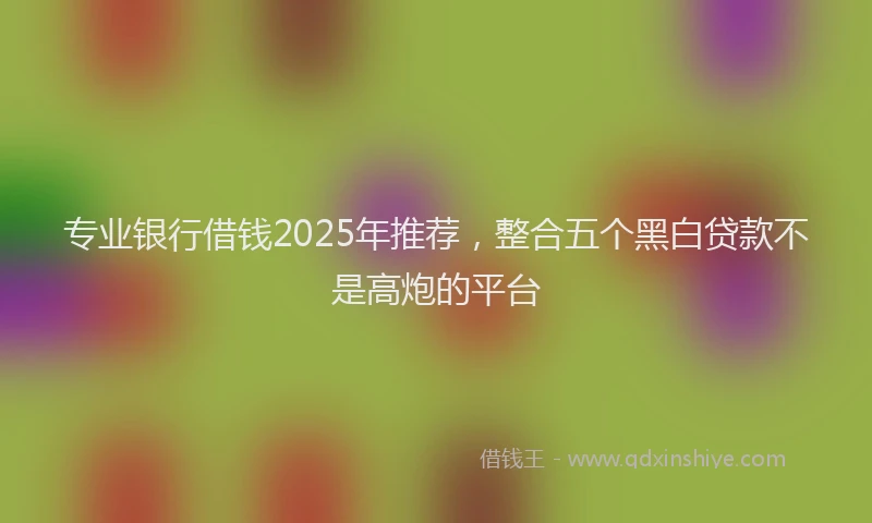 专业银行借钱2025年推荐，整合五个黑白贷款不是高炮的平台