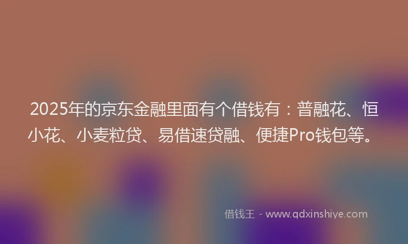 2025年的京东金融里面有个借钱有：普融花、恒小花、小麦粒贷、易借速贷融、便捷Pro钱包等。