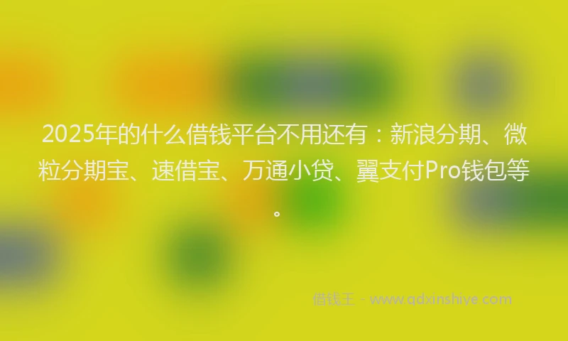 2025年的什么借钱平台不用还有：新浪分期、微粒分期宝、速借宝、万通小贷、翼支付Pro钱包等。