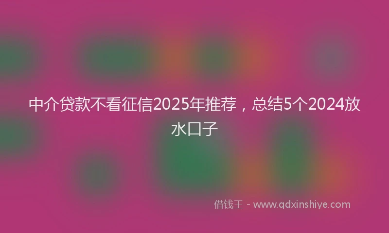 中介贷款不看征信2025年推荐，总结5个2024放水口子