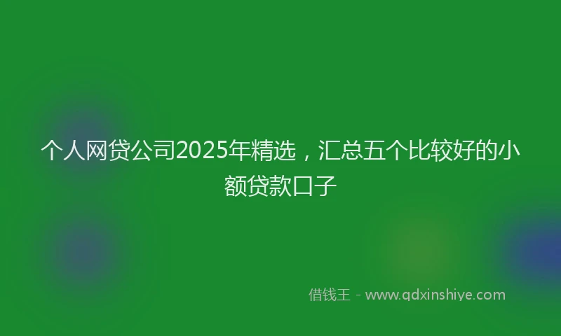 个人网贷公司2025年精选，汇总五个比较好的小额贷款口子
