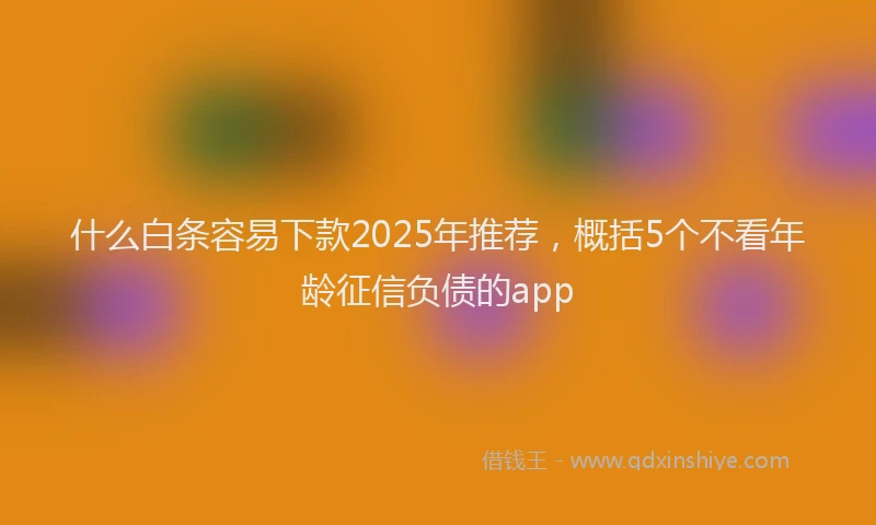 什么白条容易下款2025年推荐，概括5个不看年龄征信负债的app