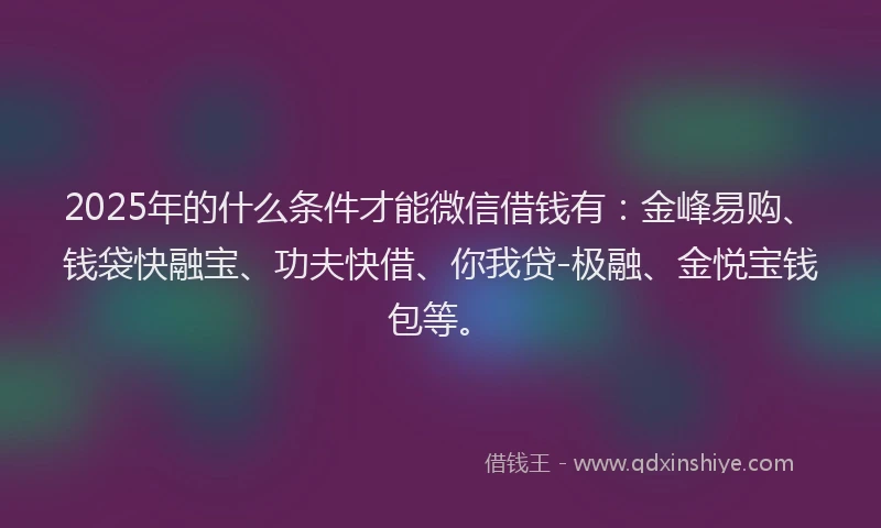 2025年的什么条件才能微信借钱有：金峰易购、钱袋快融宝、功夫快借、你我贷-极融、金悦宝钱包等。