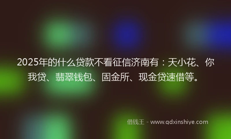 2025年的什么贷款不看征信济南有：天小花、你我贷、翡翠钱包、固金所、现金贷速借等。