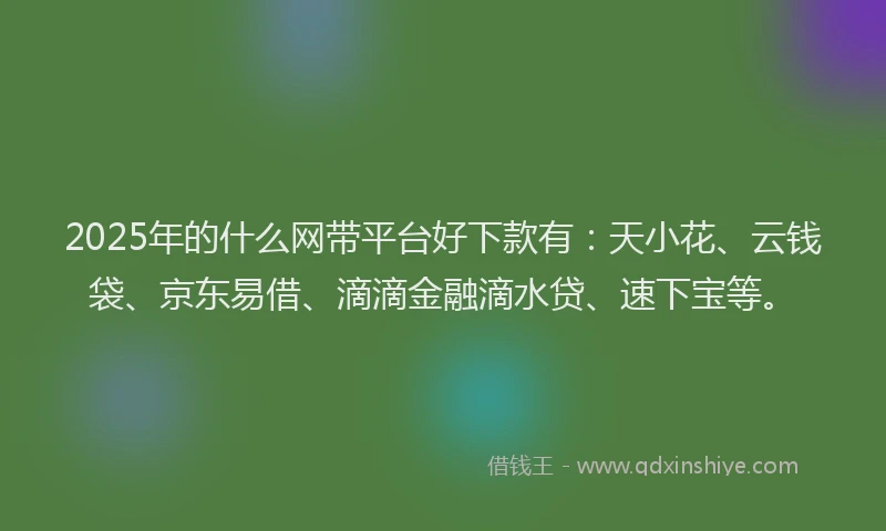 2025年的什么网带平台好下款有：天小花、云钱袋、京东易借、滴滴金融滴水贷、速下宝等。