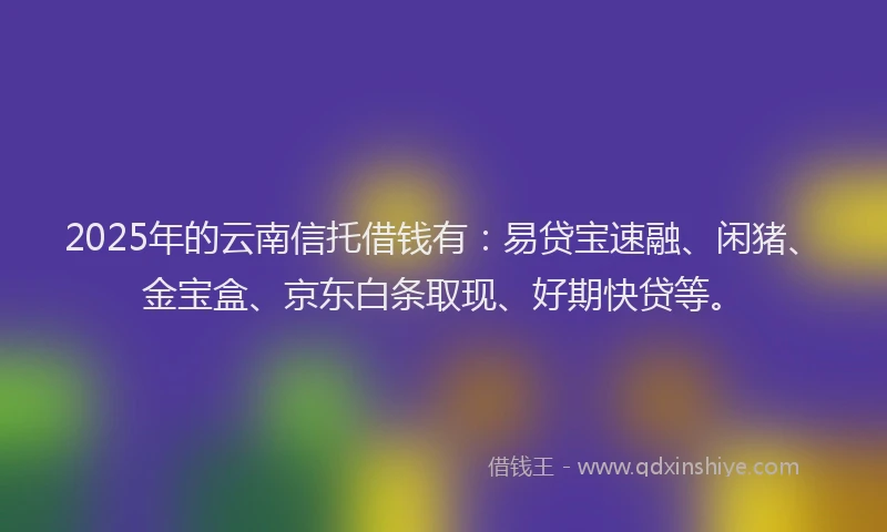 2025年的云南信托借钱有：易贷宝速融、闲猪、金宝盒、京东白条取现、好期快贷等。