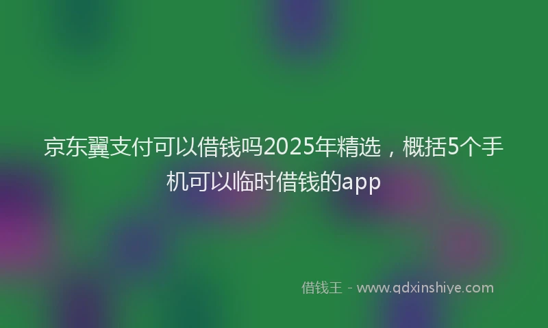 京东翼支付可以借钱吗2025年精选，概括5个手机可以临时借钱的app