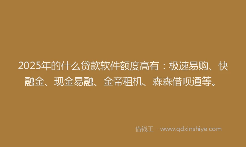 2025年的什么贷款软件额度高有：极速易购、快融金、现金易融、金帝租机、森森借呗通等。