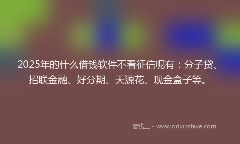 2025年的什么借钱软件不看征信呢有：分子贷、招联金融、好分期、天源花、现金盒子等。