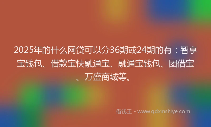 2025年的什么网贷可以分36期或24期的有：智享宝钱包、借款宝快融通宝、融通宝钱包、团借宝、万盛商城等。