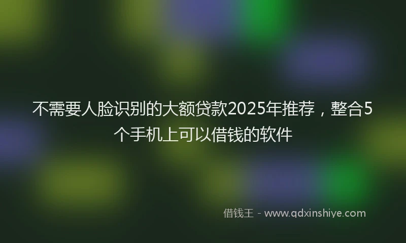 不需要人脸识别的大额贷款2025年推荐，整合5个手机上可以借钱的软件