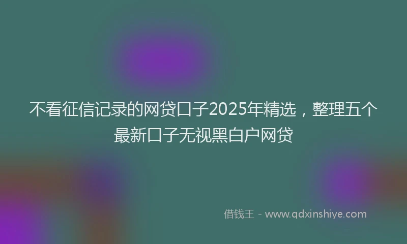 不看征信记录的网贷口子2025年精选，整理五个最新口子无视黑白户网贷