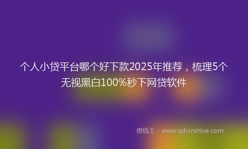 个人小贷平台哪个好下款2025年推荐，梳理5个无视黑白100%秒下网贷软件