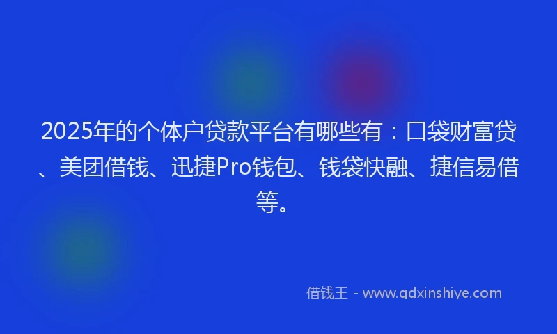 2025年的个体户贷款平台有哪些有：口袋财富贷、美团借钱、迅捷Pro钱包、钱袋快融、捷信易借等。