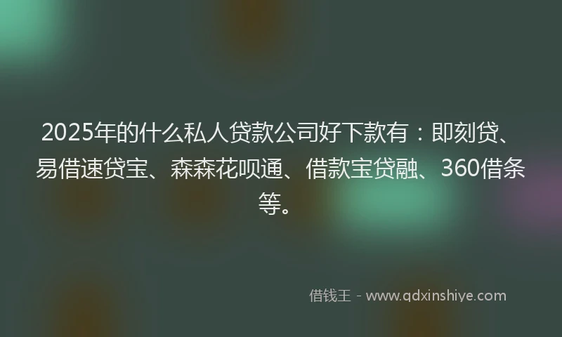 2025年的什么私人贷款公司好下款有：即刻贷、易借速贷宝、森森花呗通、借款宝贷融、360借条等。