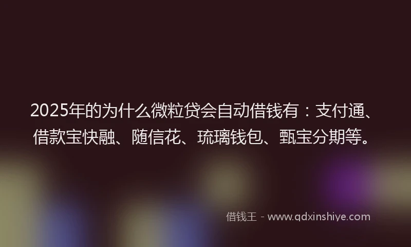 2025年的为什么微粒贷会自动借钱有：支付通、借款宝快融、随信花、琉璃钱包、甄宝分期等。