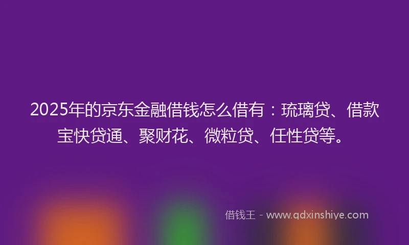 2025年的京东金融借钱怎么借有：琉璃贷、借款宝快贷通、聚财花、微粒贷、任性贷等。