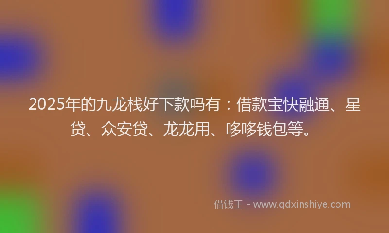 2025年的九龙栈好下款吗有：借款宝快融通、星贷、众安贷、龙龙用、哆哆钱包等。