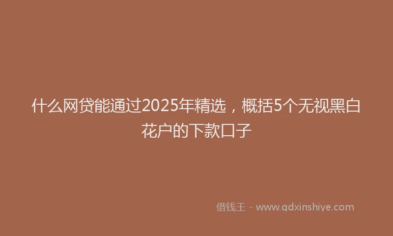 什么网贷能通过2025年精选，概括5个无视黑白花户的下款口子