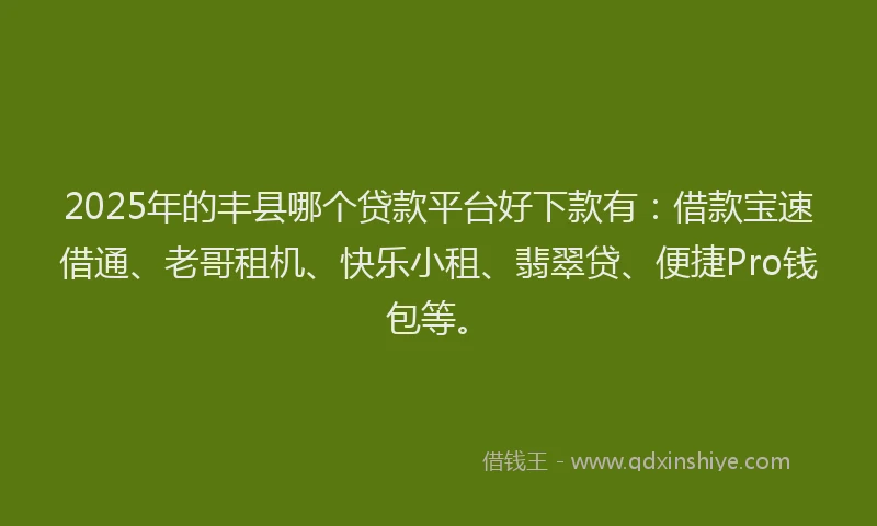 2025年的丰县哪个贷款平台好下款有：借款宝速借通、老哥租机、快乐小租、翡翠贷、便捷Pro钱包等。
