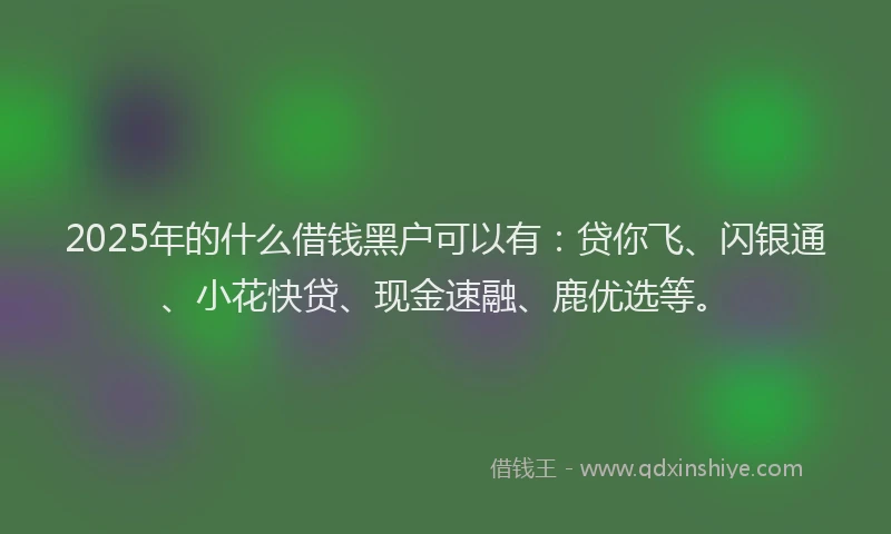 2025年的什么借钱黑户可以有：贷你飞、闪银通、小花快贷、现金速融、鹿优选等。