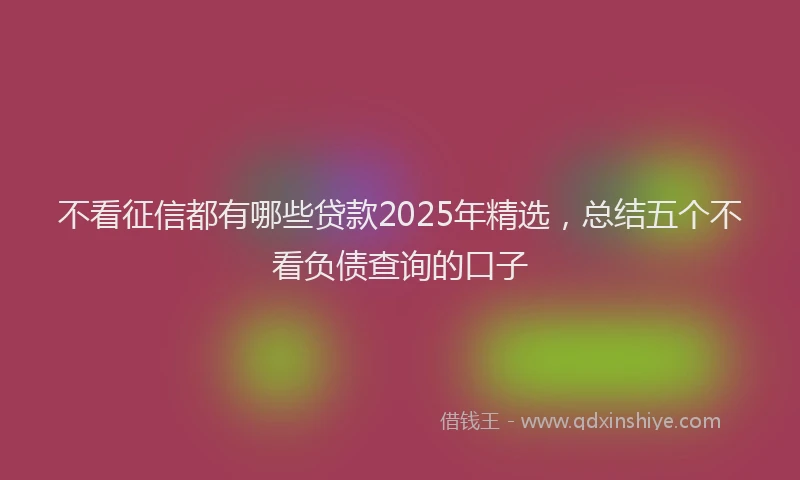 不看征信都有哪些贷款2025年精选，总结五个不看负债查询的口子