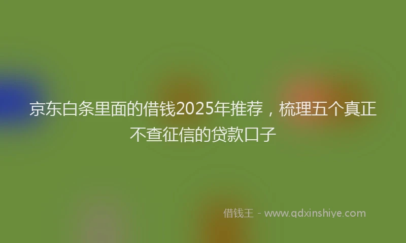 京东白条里面的借钱2025年推荐，梳理五个真正不查征信的贷款口子