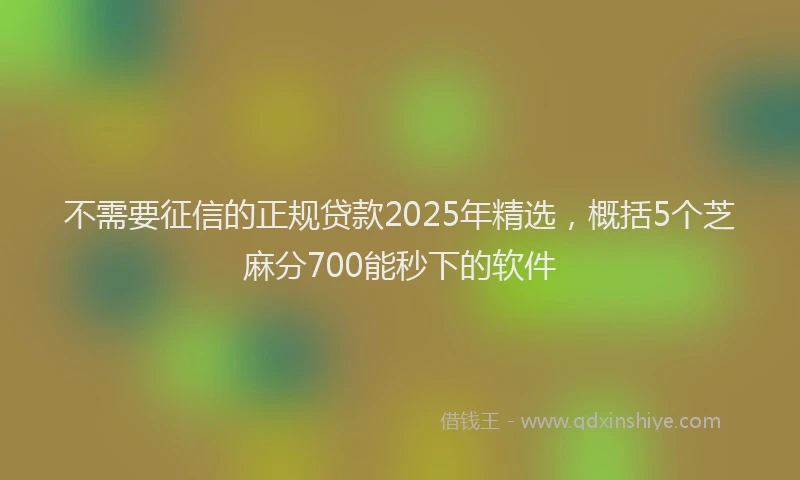 不需要征信的正规贷款2025年精选，概括5个芝麻分700能秒下的软件