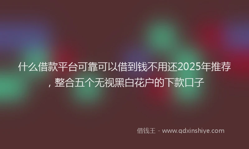 什么借款平台可靠可以借到钱不用还2025年推荐，整合五个无视黑白花户的下款口子