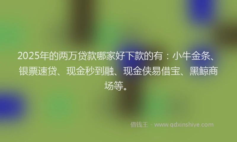2025年的两万贷款哪家好下款的有：小牛金条、银票速贷、现金秒到融、现金侠易借宝、黑鲸商场等。