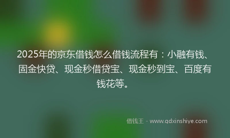 2025年的京东借钱怎么借钱流程有：小融有钱、固金快贷、现金秒借贷宝、现金秒到宝、百度有钱花等。