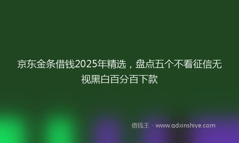京东金条借钱2025年精选，盘点五个不看征信无视黑白百分百下款