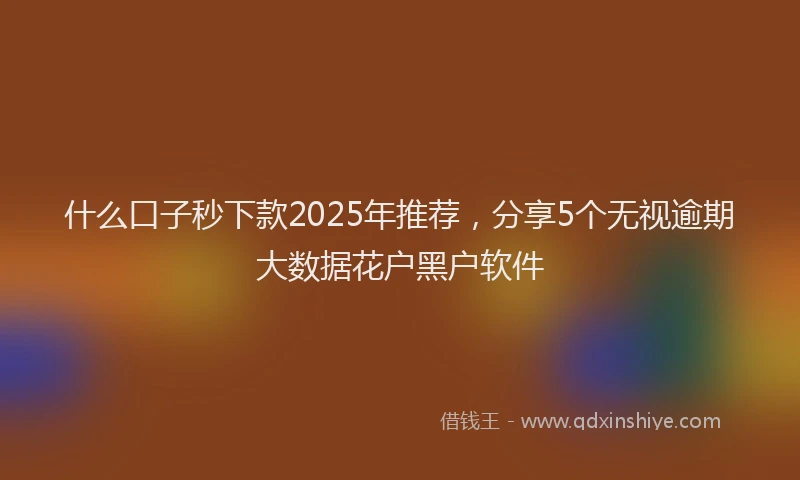 什么口子秒下款2025年推荐，分享5个无视逾期大数据花户黑户软件