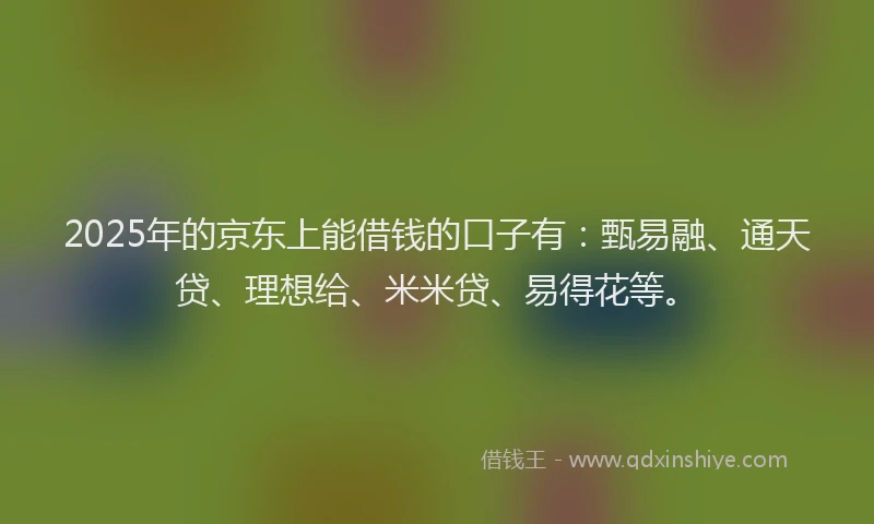 2025年的京东上能借钱的口子有：甄易融、通天贷、理想给、米米贷、易得花等。