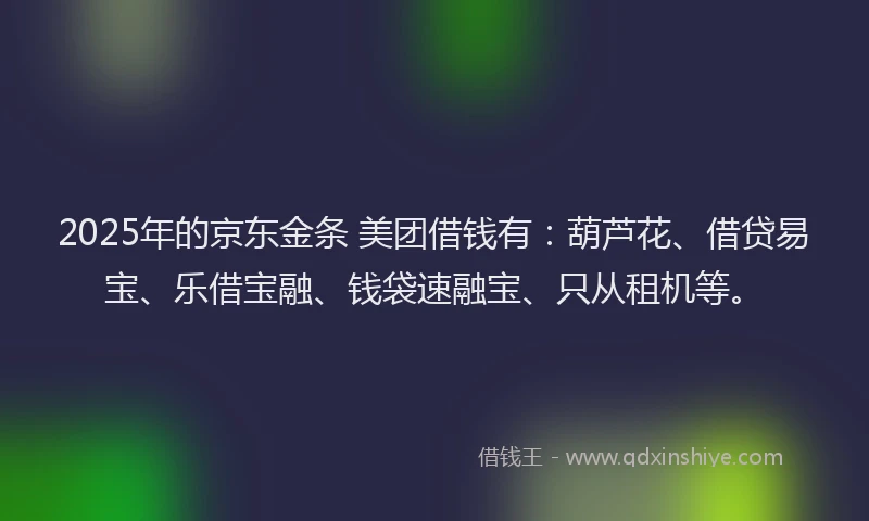 2025年的京东金条 美团借钱有：葫芦花、借贷易宝、乐借宝融、钱袋速融宝、只从租机等。