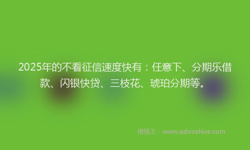 2025年的不看征信速度快有：任意下、分期乐借款、闪银快贷、三枝花、琥珀分期等。
