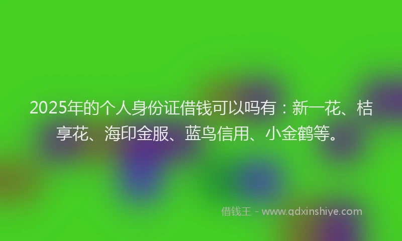 2025年的个人身份证借钱可以吗有：新一花、桔享花、海印金服、蓝鸟信用、小金鹤等。