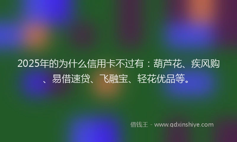 2025年的为什么信用卡不过有：葫芦花、疾风购、易借速贷、飞融宝、轻花优品等。