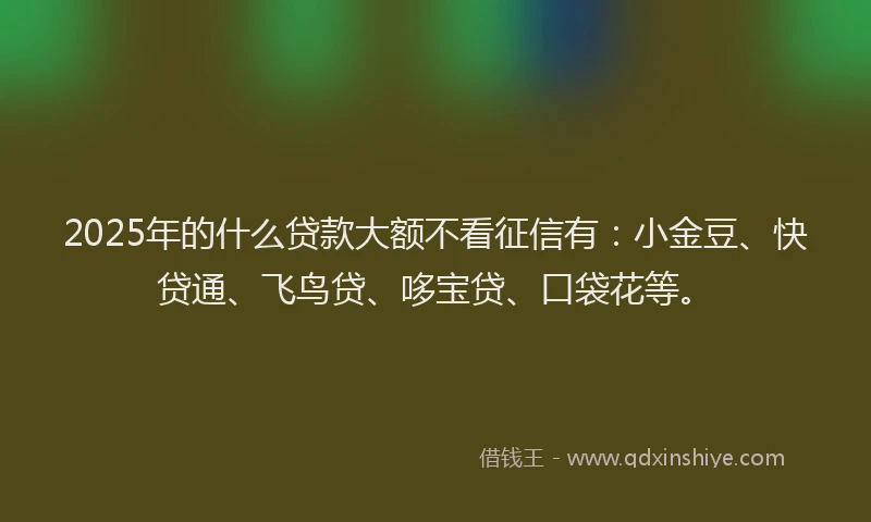 2025年的什么贷款大额不看征信有：小金豆、快贷通、飞鸟贷、哆宝贷、口袋花等。