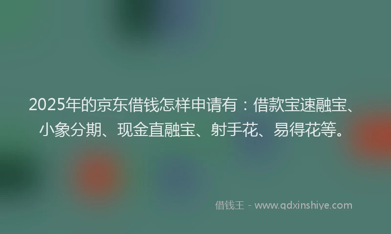 2025年的京东借钱怎样申请有：借款宝速融宝、小象分期、现金直融宝、射手花、易得花等。