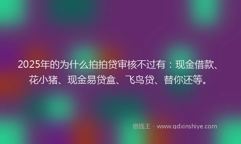 2025年的为什么拍拍贷审核不过有：现金借款、花小猪、现金易贷盒、飞鸟贷、替你还等。