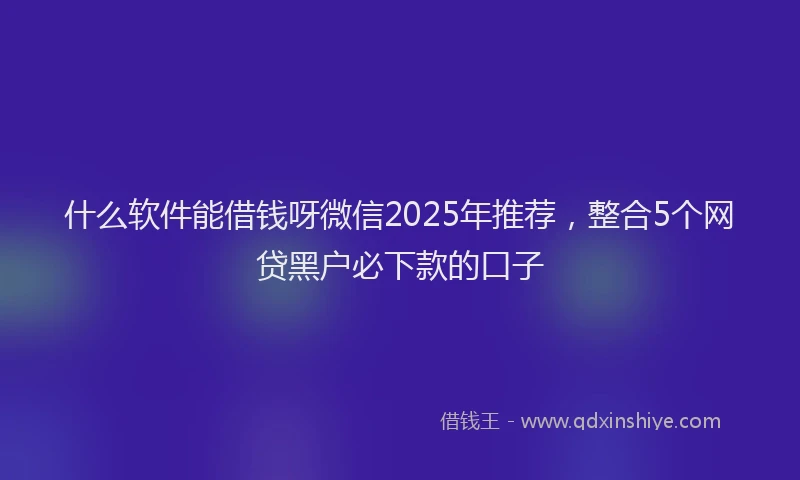 什么软件能借钱呀微信2025年推荐，整合5个网贷黑户必下款的口子